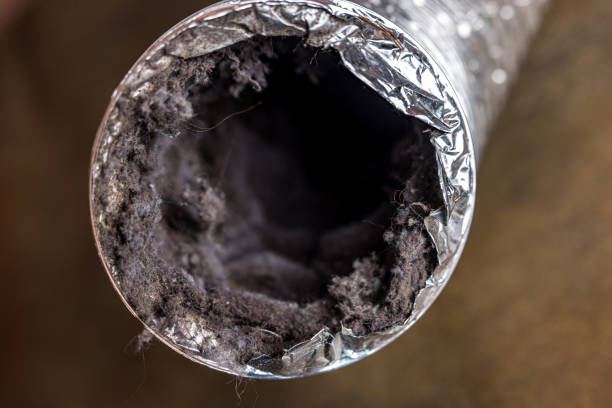 Best Commercial Air Duct Cleaning  in Jerseyvle, IL